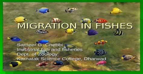 fish migration ppt